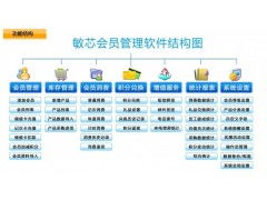 南宁门店连锁会员管理软件与办公软件开发的行业洞察